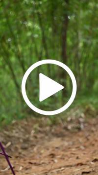 BIB:  <button type="button" onclick="openModal(26807297)" class="btn btn-primary btn-sm float-right" data-toggle="modal" data-target=".modal-high-quality">
                <i class="fa fa-download"></i> Download
                </button>